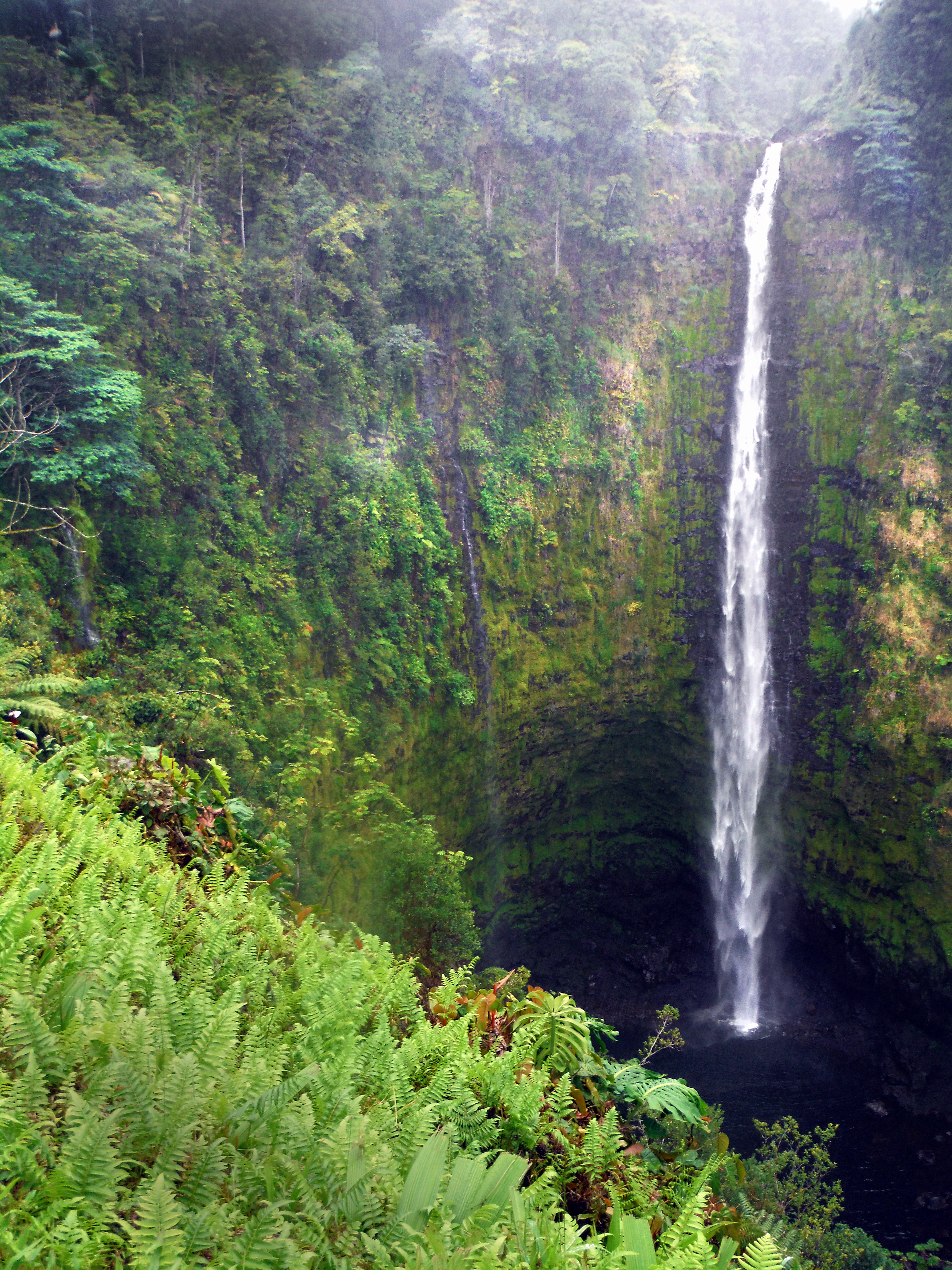 Hilo District Home 1005653