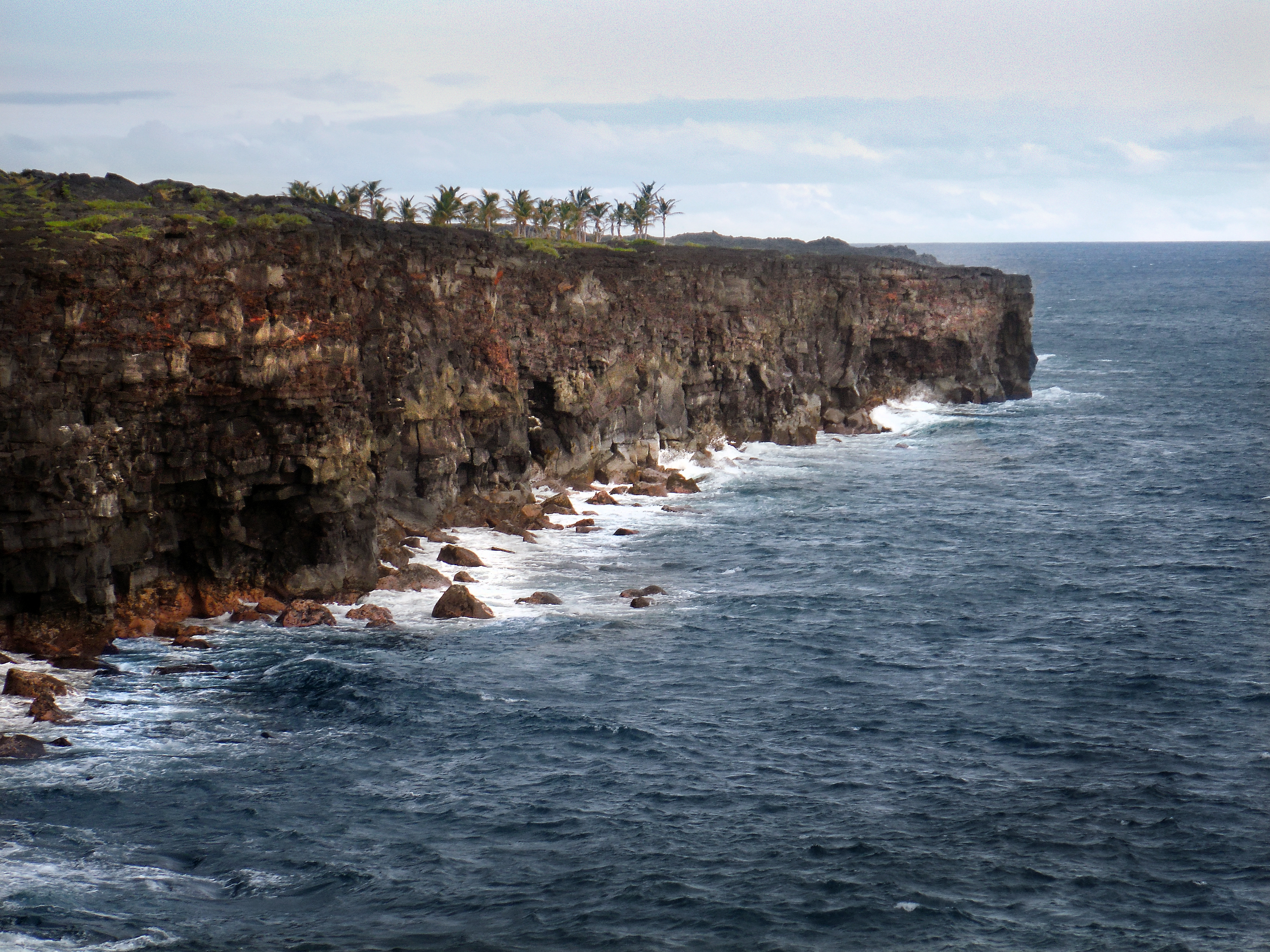 Hilo District Home 1005653