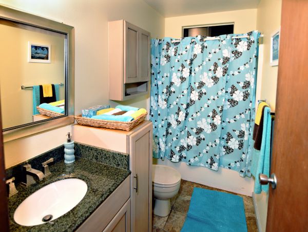 Hilo District Home 1005653
