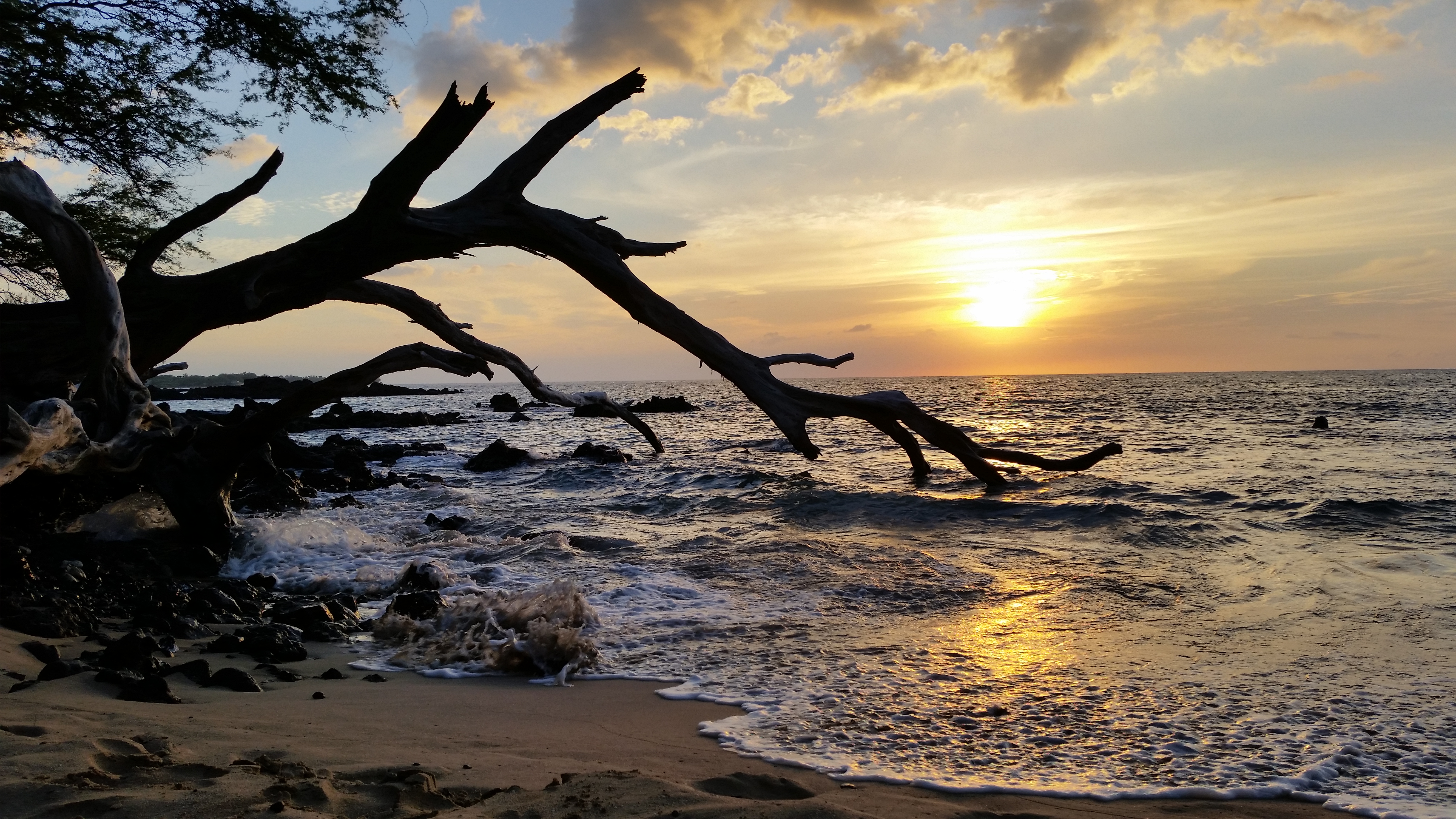 Hilo District Home 1005654