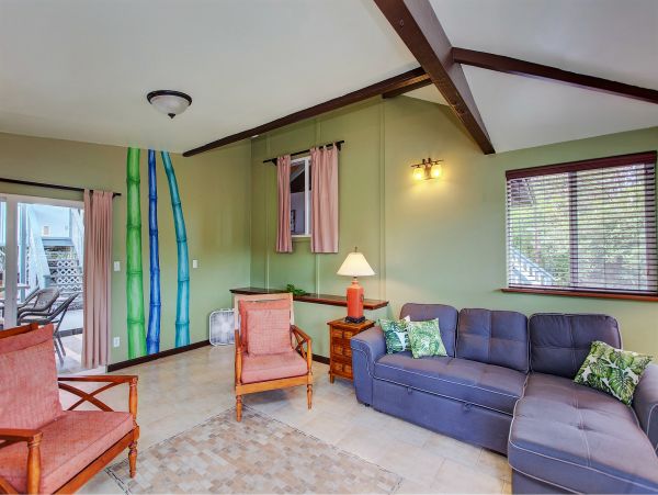 Hilo District Home 1005654