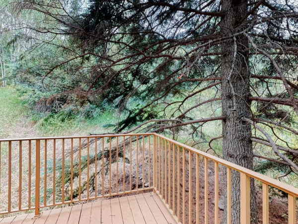Six Bedrooms Beaver Creek Pet friendly Luxury Lodge