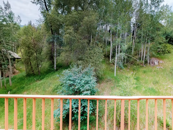 Six Bedrooms Beaver Creek Pet friendly Luxury Lodge