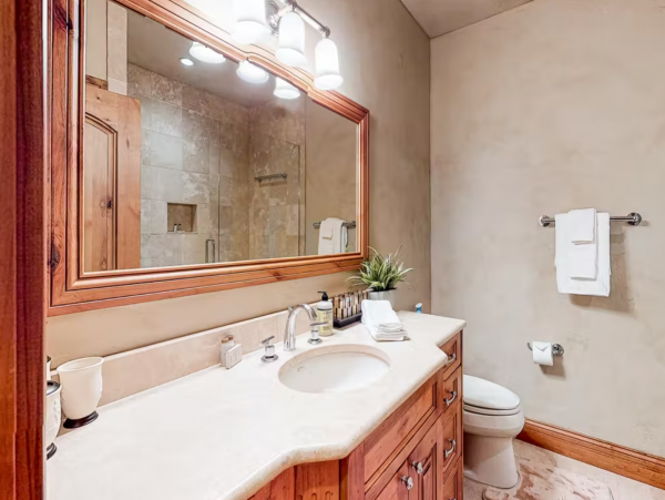 Six Bedrooms Beaver Creek Pet friendly Luxury Lodge