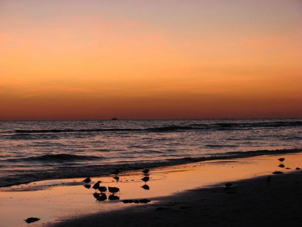 Walk to Beach One Bedroom Condo in Siesta Key