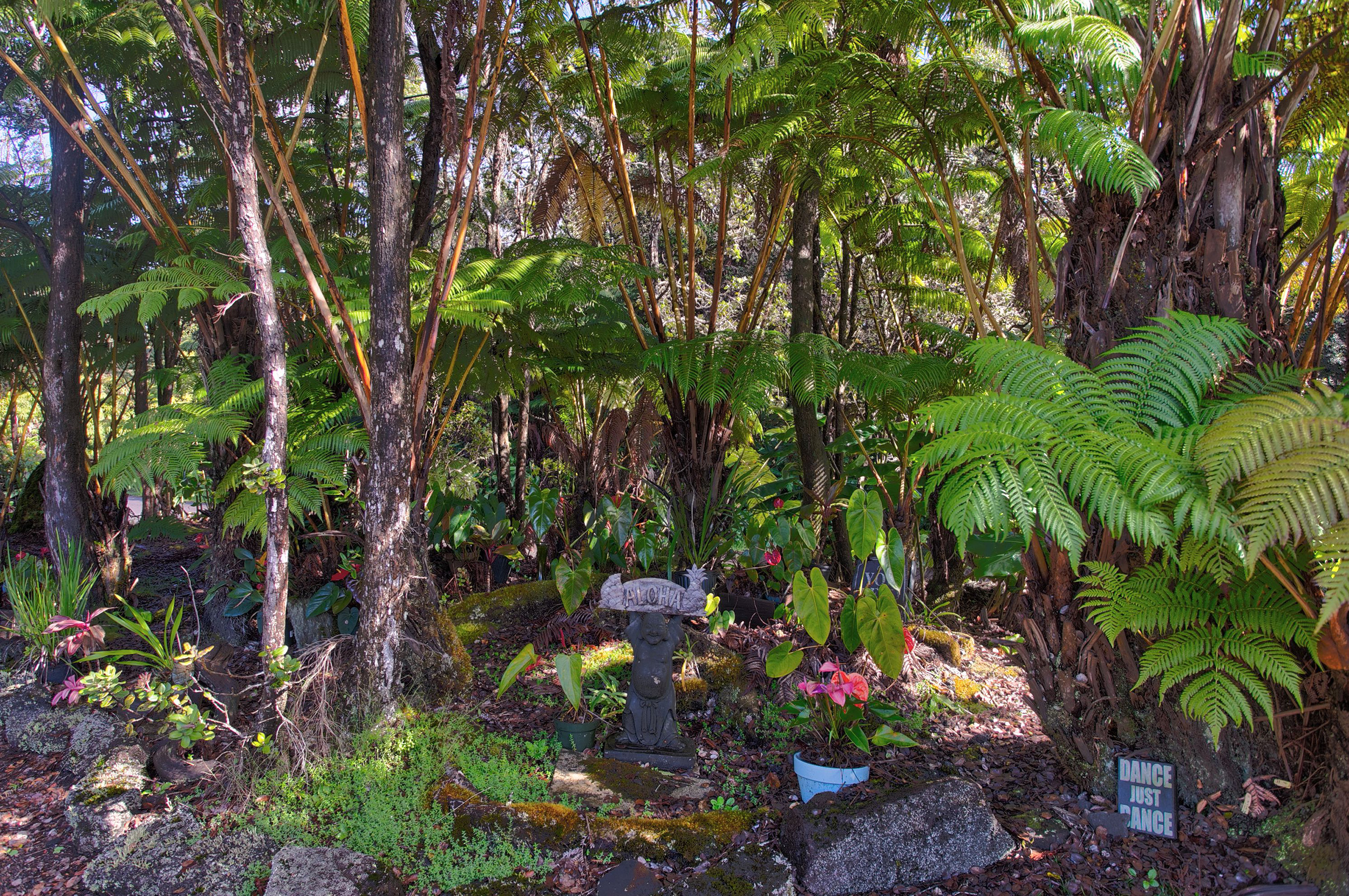 Puna District Home 1005714
