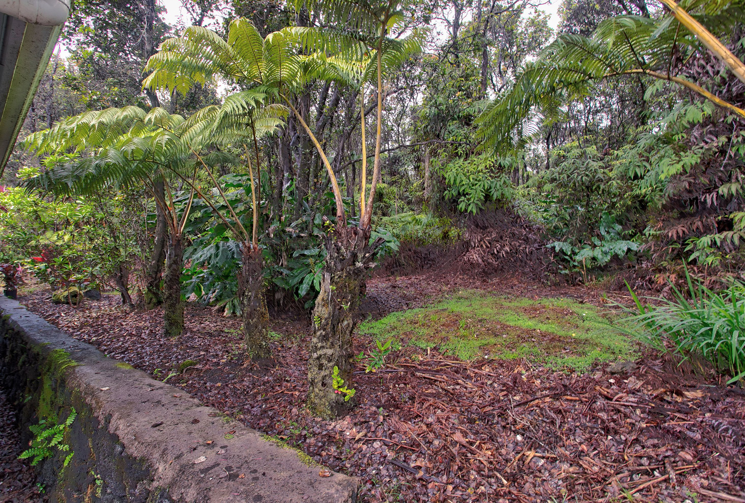 Puna District Home 1005714
