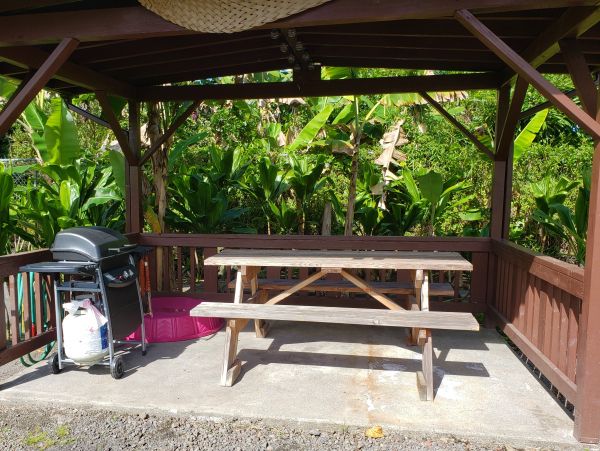 Puna District Home 1005718