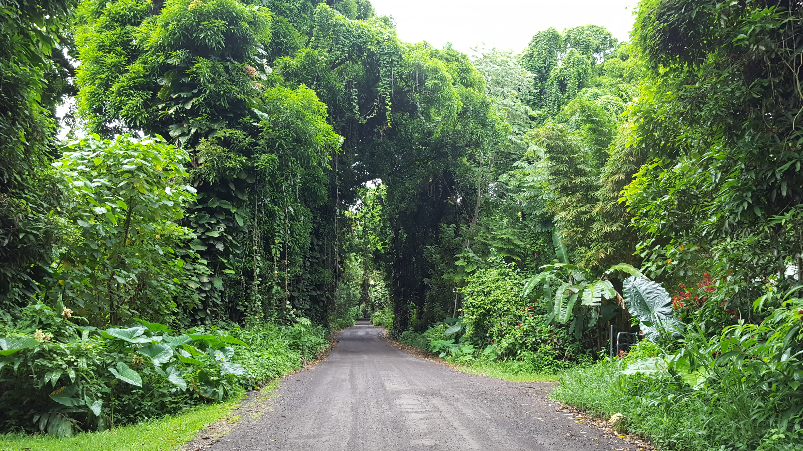 Puna District Home 1005719