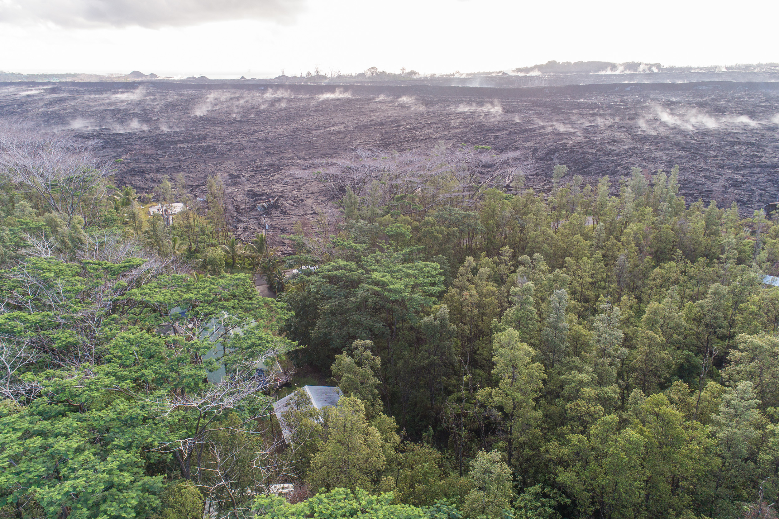 Puna District Home 1005720