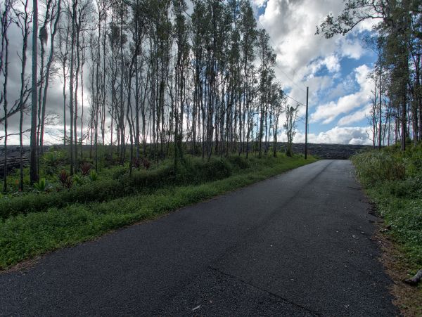 Puna District Home 1005720