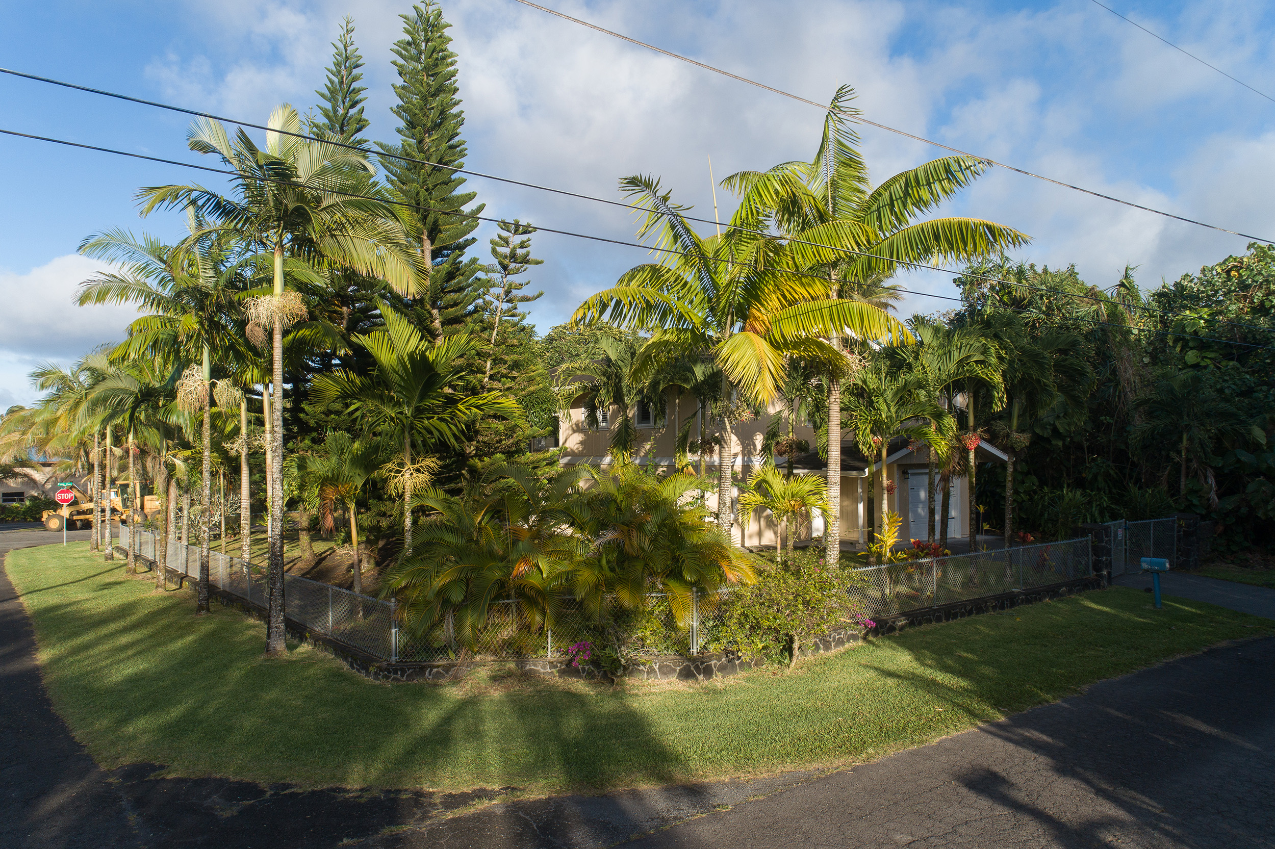 Puna District Home 1005723