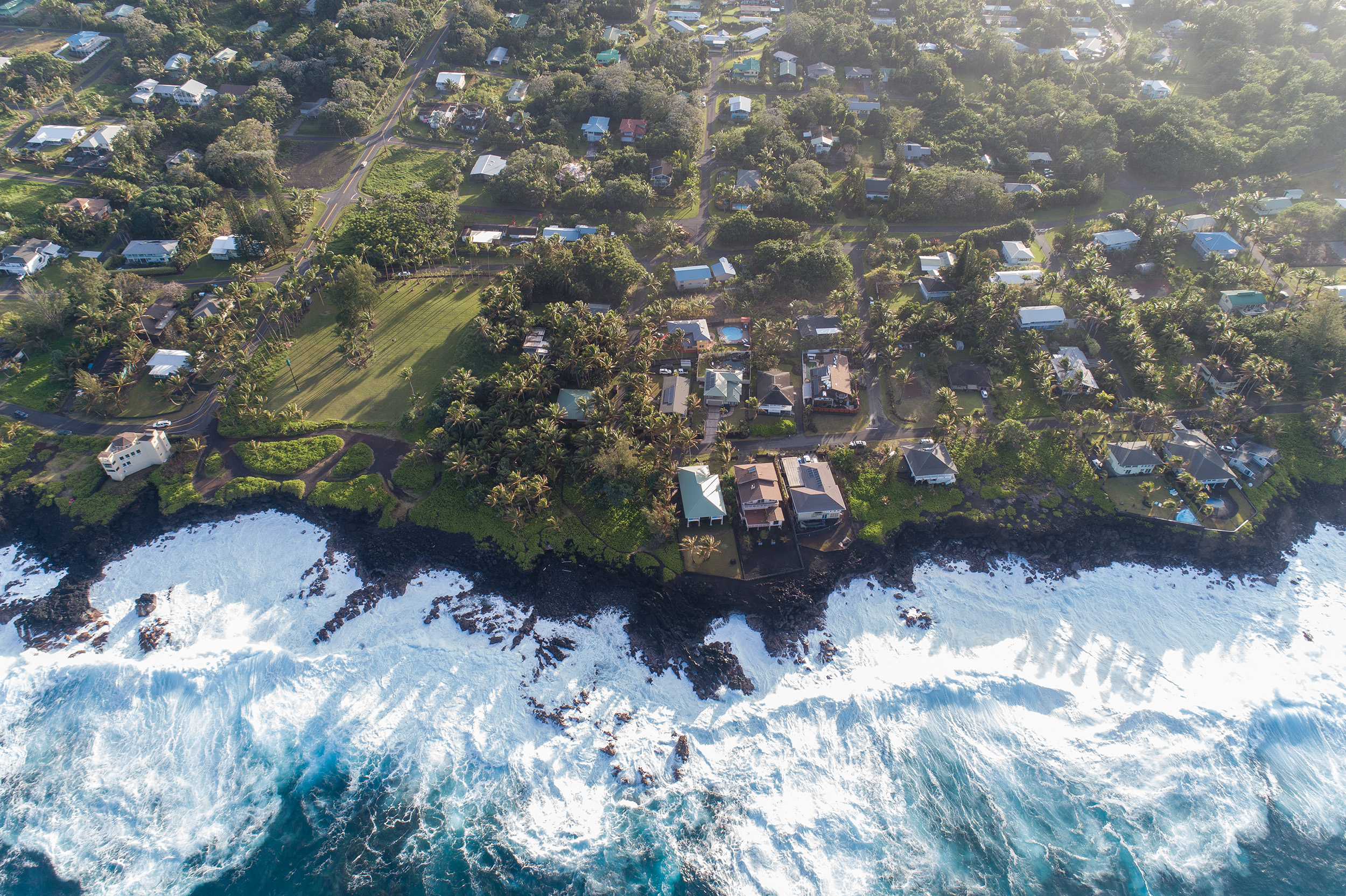 Puna District Home 1005723