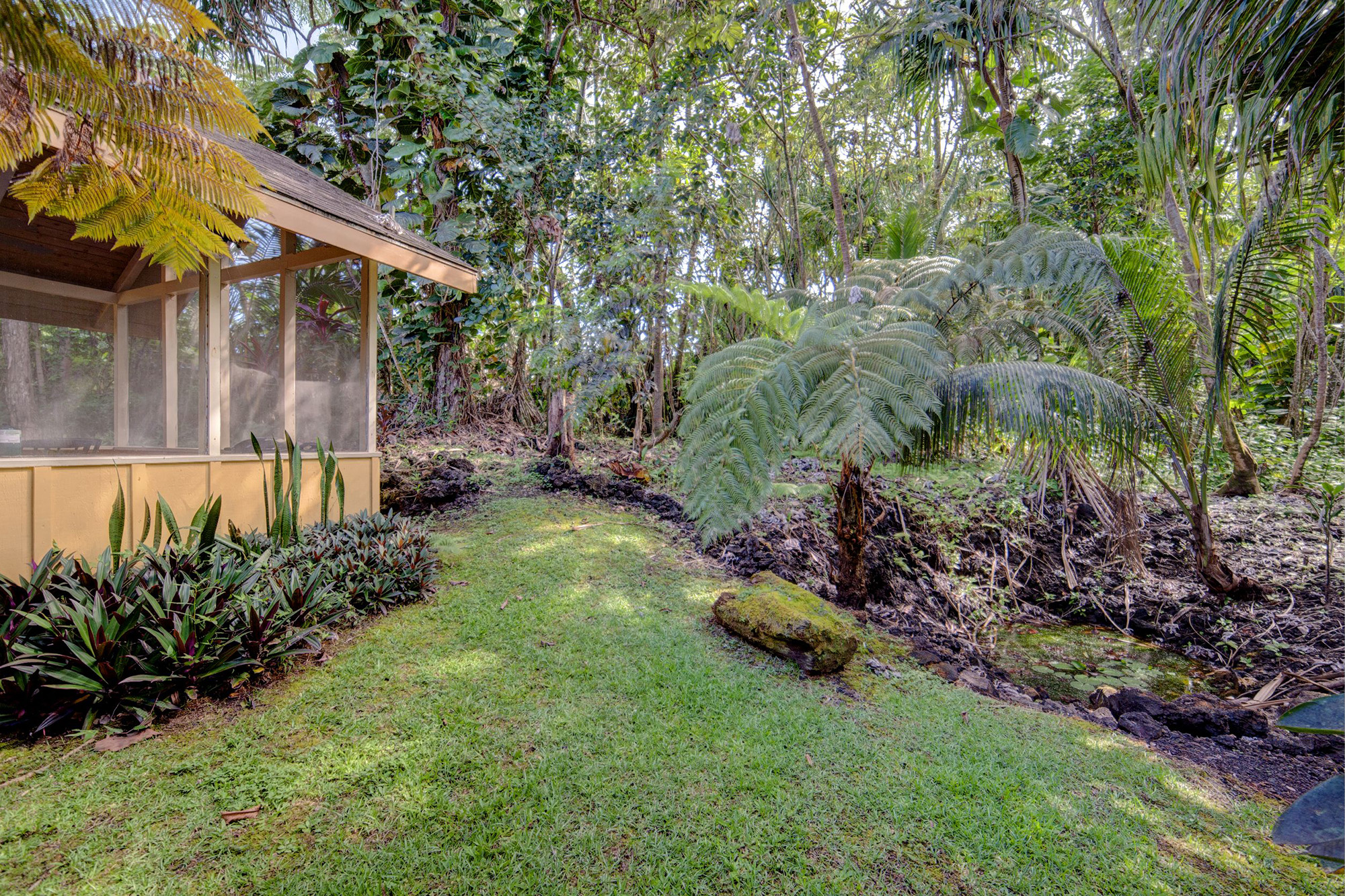 Puna District Home 1005724