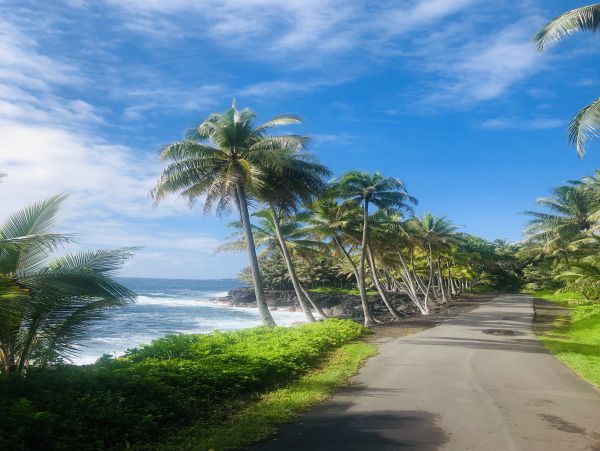 Puna District Home 1005725