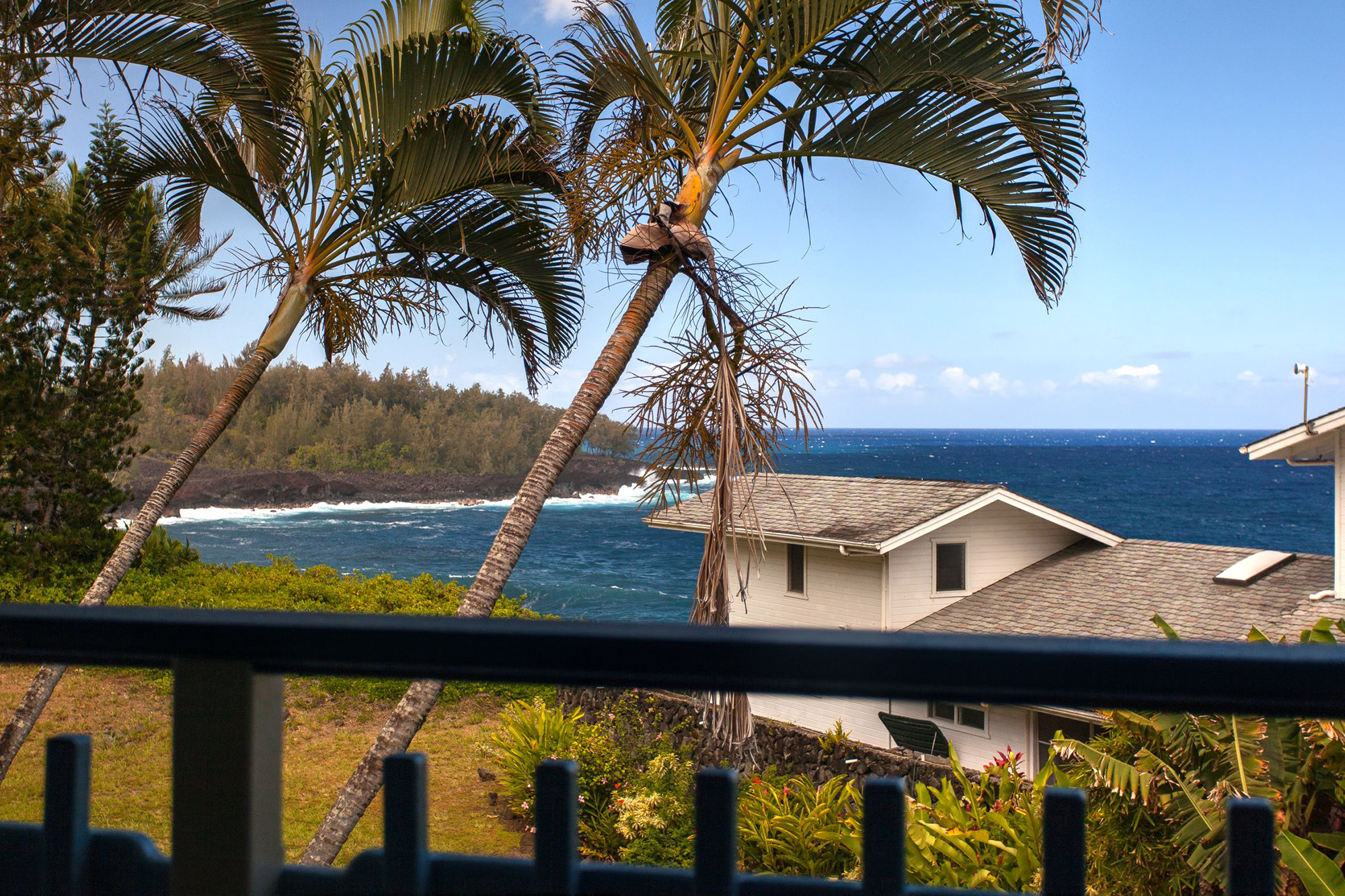 Puna District Home 1005726