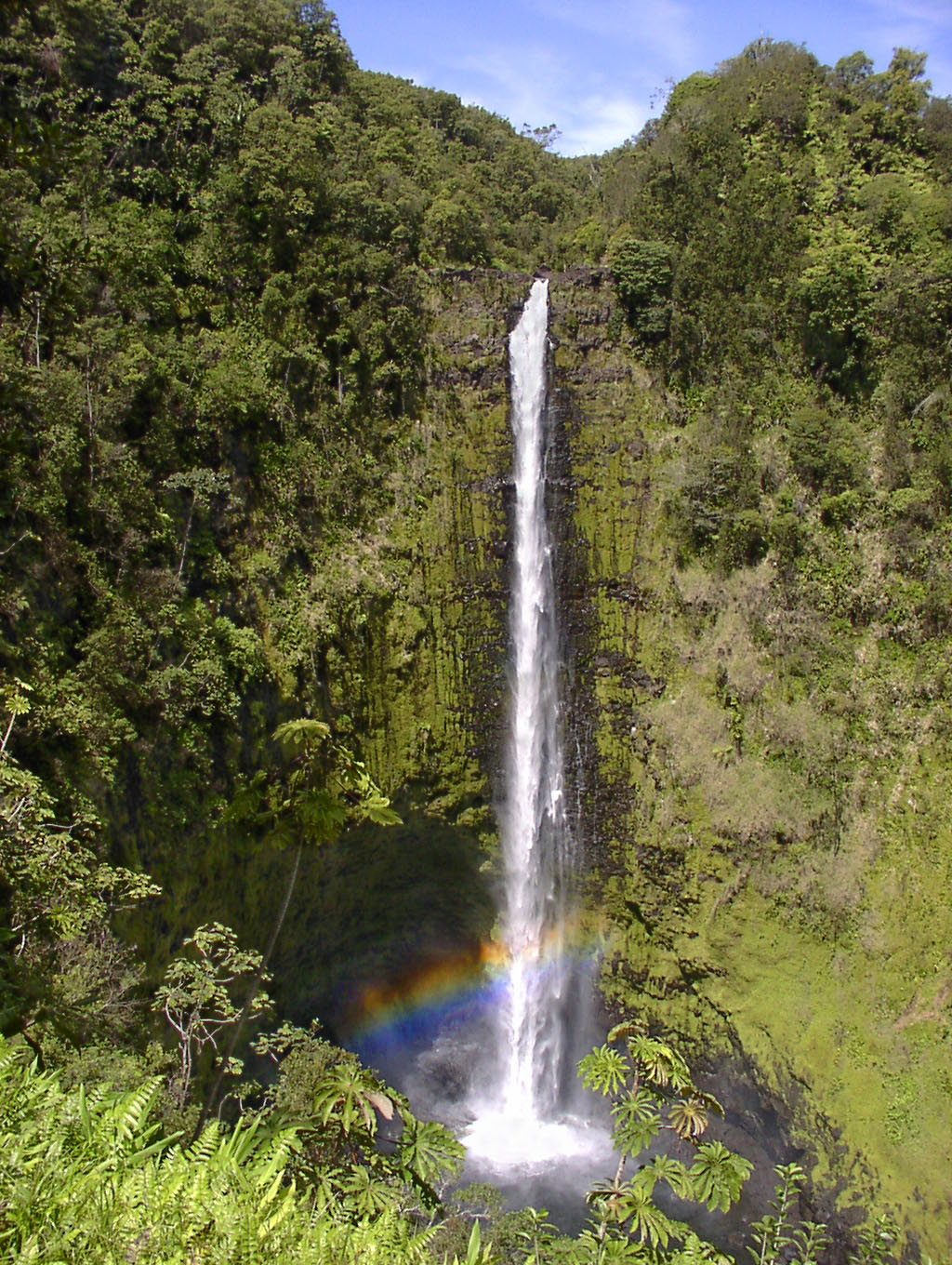 Puna District Home 1005729