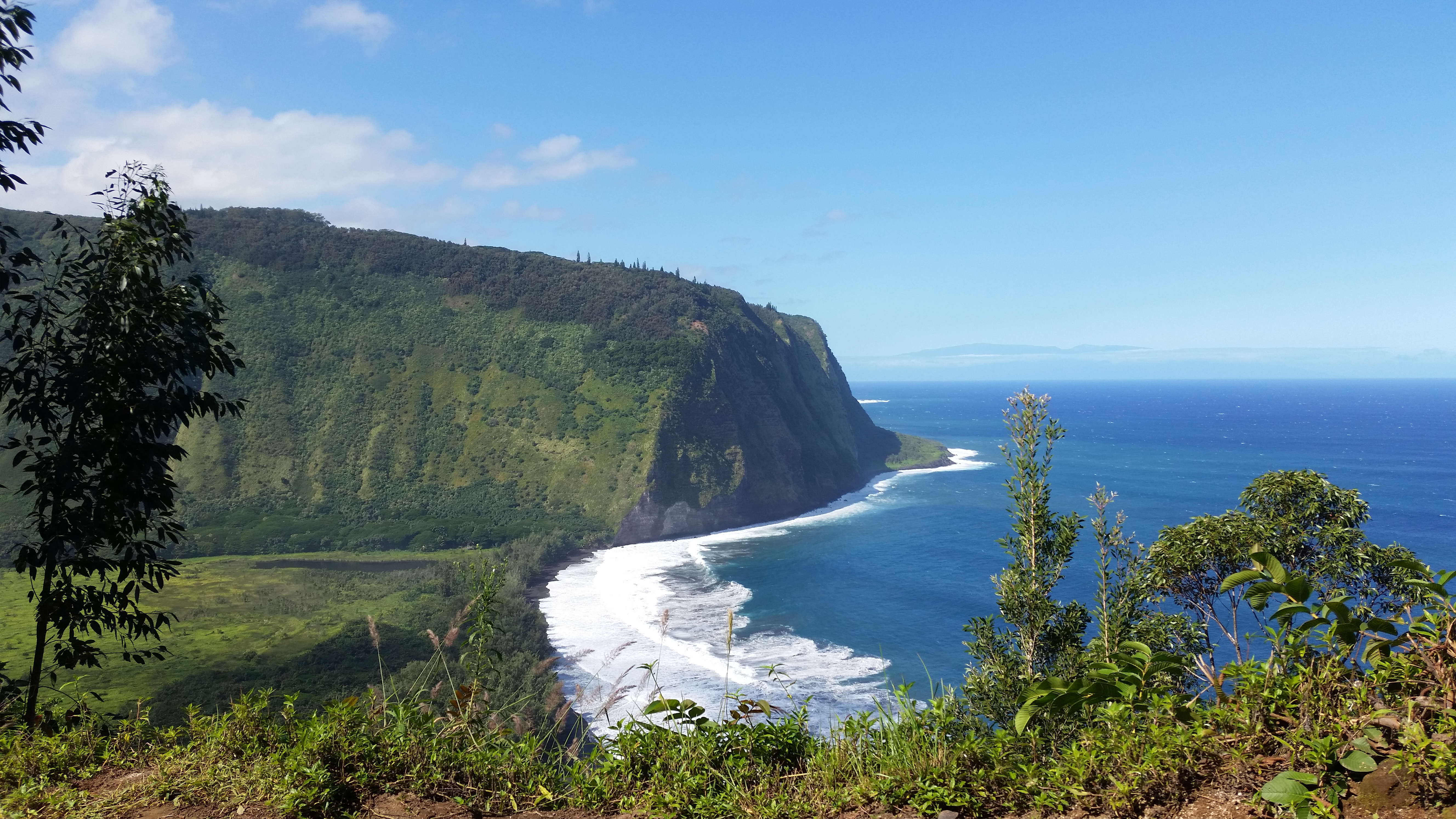 Puna District Home 1005729