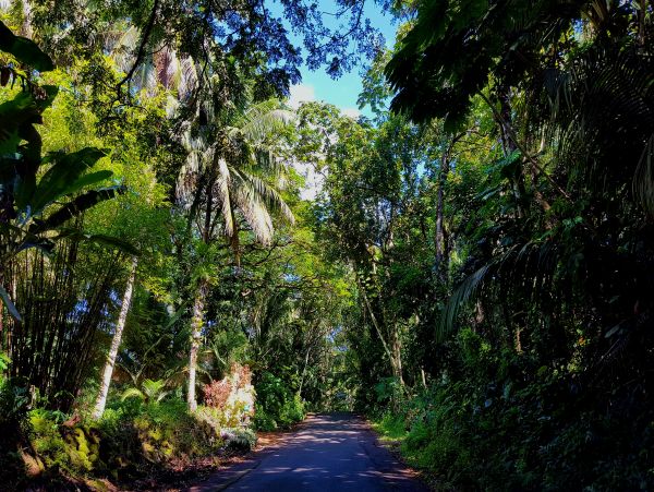 Puna District Home 1005729