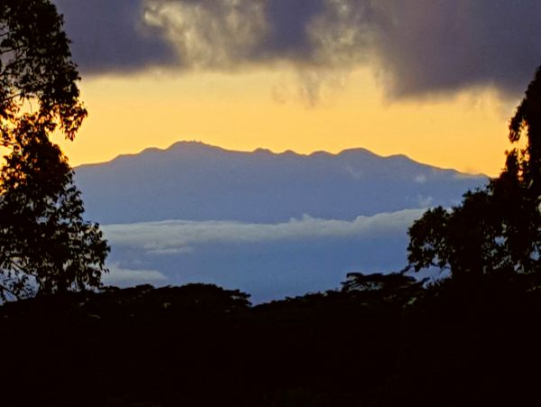Puna District Home 1005729