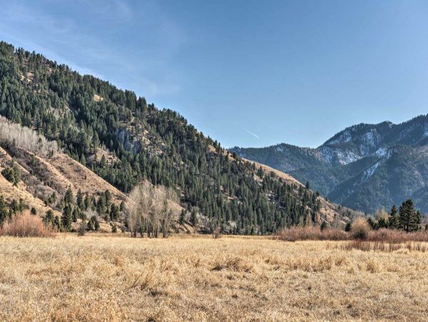 Jackson Hole Wy Home 1005738