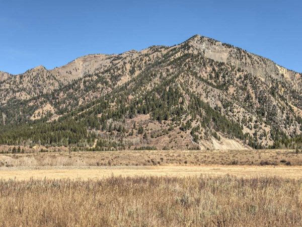 Jackson Hole Wy Home 1005738