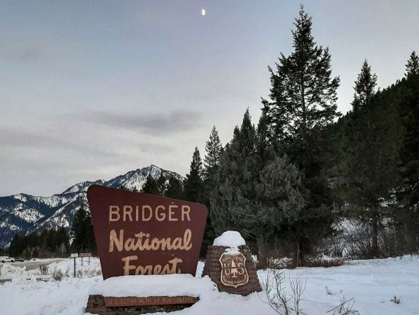 Jackson Hole Wy Home 1005740