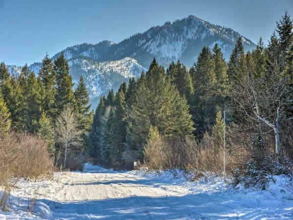 Jackson Hole Wy Home 1005740