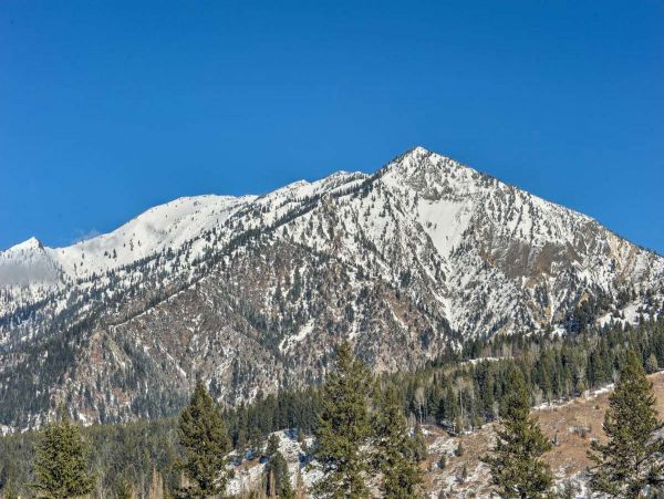 Jackson Hole Wy Home 1005740