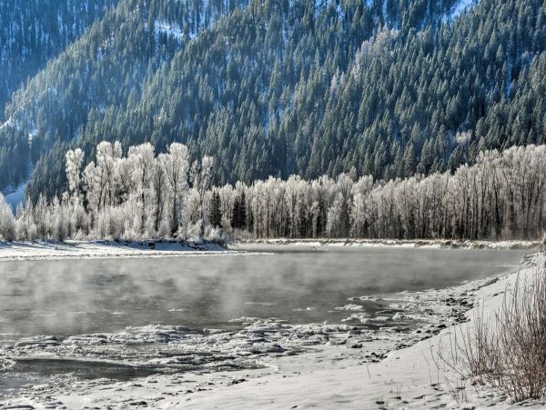 Jackson Hole Wy Home 1005740
