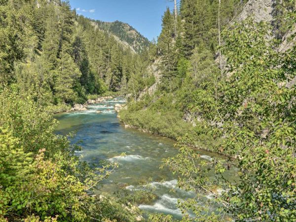 Jackson Hole Wy Home 1005740