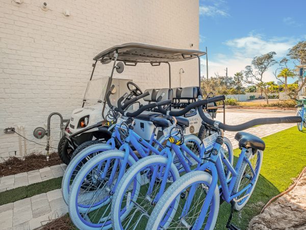 Beaches Of South Walton Home 1005759
