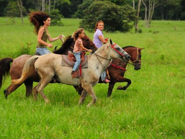 Tamarindo Home 1005761
