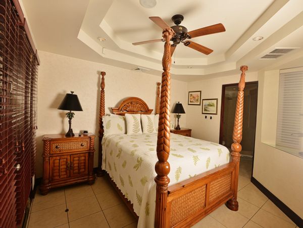 Tamarindo Home 1005772