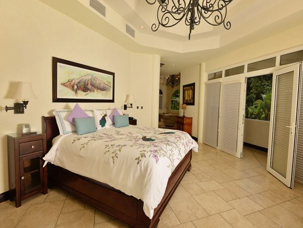 Tamarindo Home 1005772