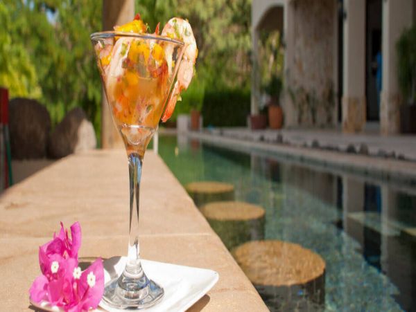 Tamarindo Home 1005785