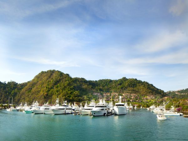 Tamarindo Condo 1005799