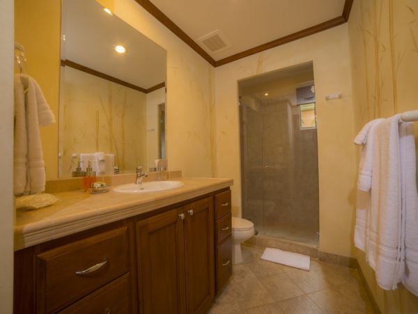 Tamarindo Condo 1005799