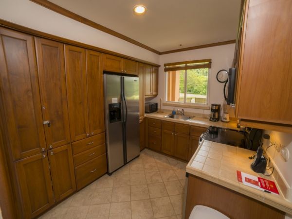 Tamarindo Condo 1005799