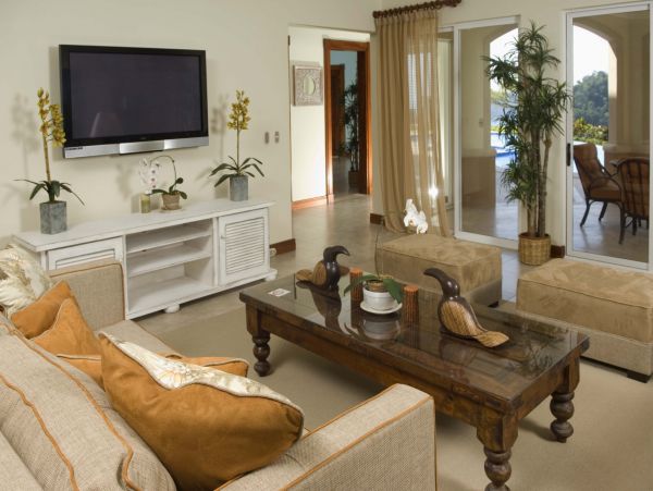Tamarindo Home 1005801