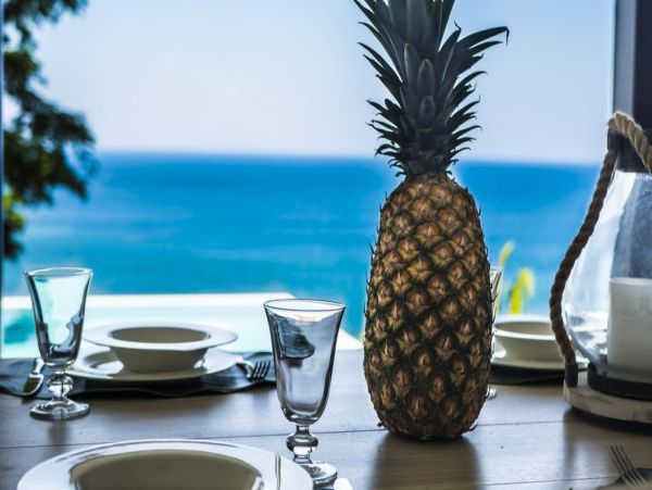 Tamarindo Home 1005802