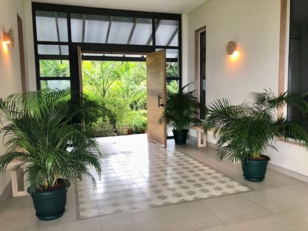 Tamarindo Home 1005802