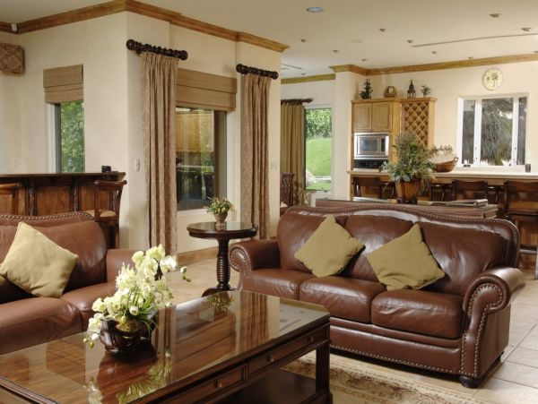 Tamarindo Home 1005803