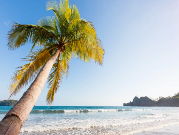 Luxury  Villa  Ocean Views Beach Club Access Playa Tamarindo