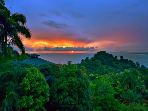 Tamarindo Home 1005808