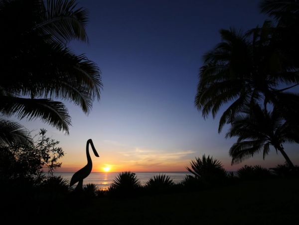 Tamarindo Home 1005809