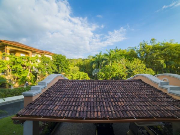 Tamarindo Condo 1005813