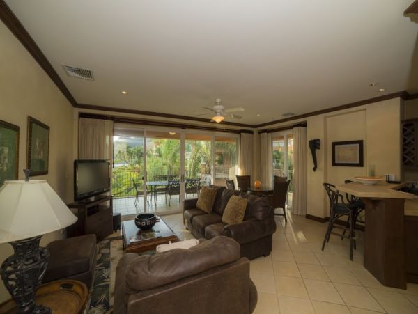 Tamarindo Condo 1005813