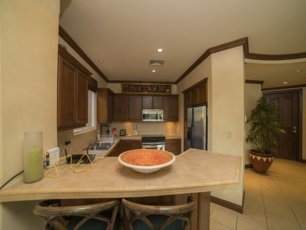 Tamarindo Condo 1005813