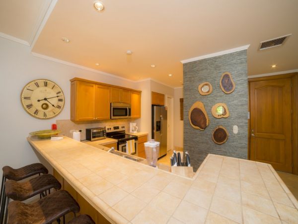 Tamarindo Home 1005816